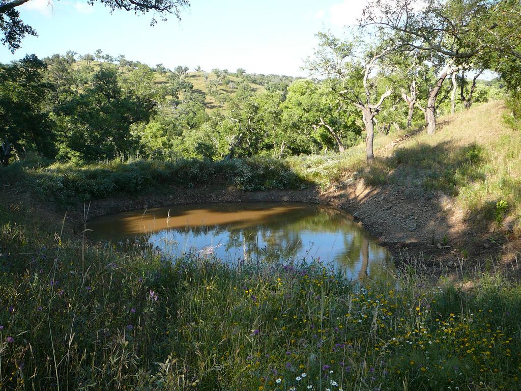 Monte Da Ameira Roncão Exteriér fotografie
